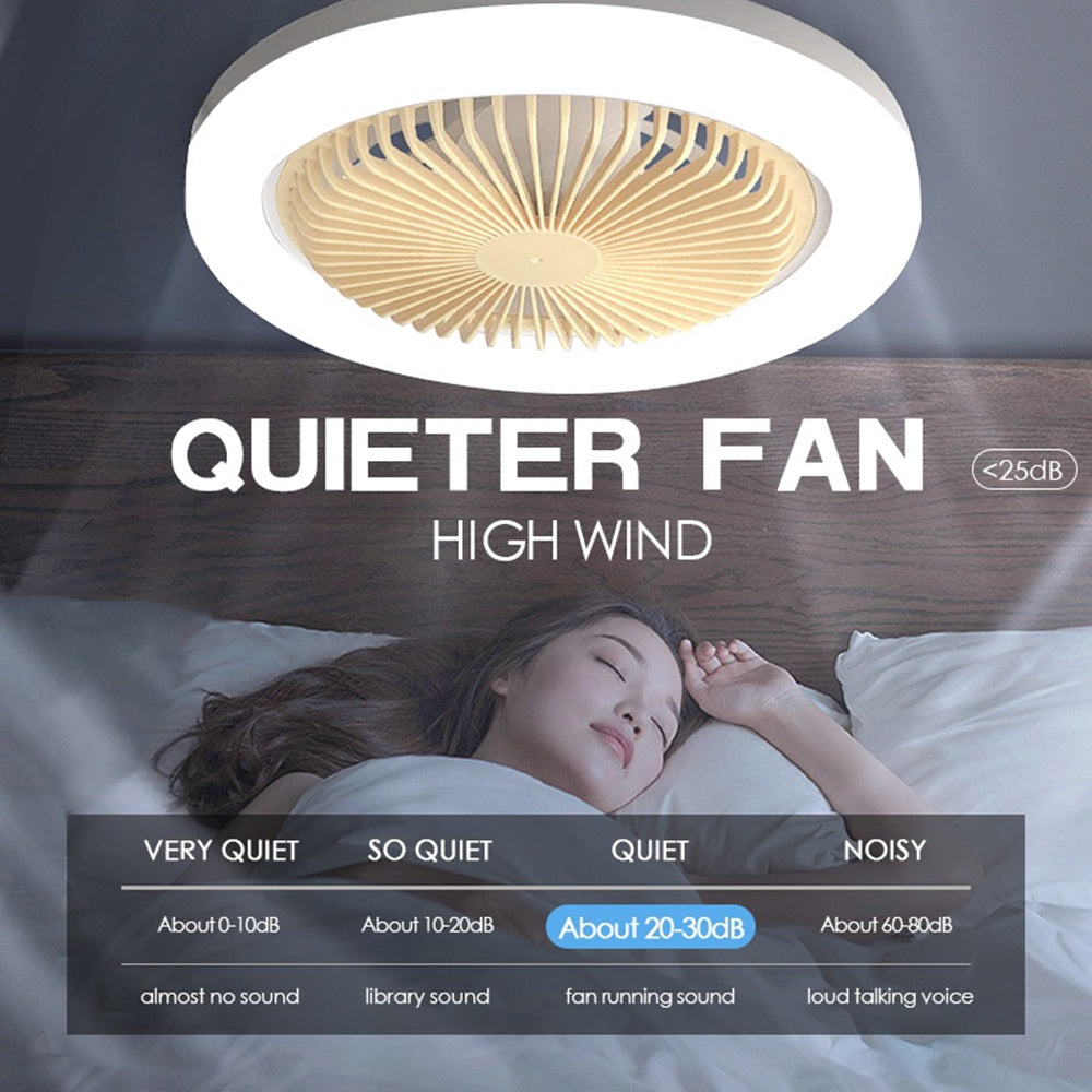 2 in 1 Ceiling Fan with Light