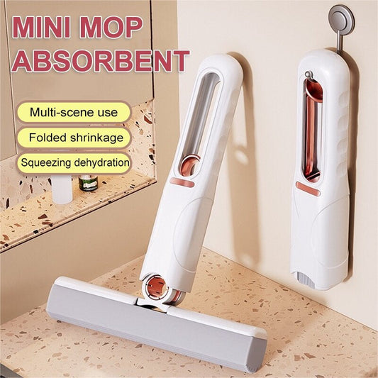 Mini Mop with Squeezer